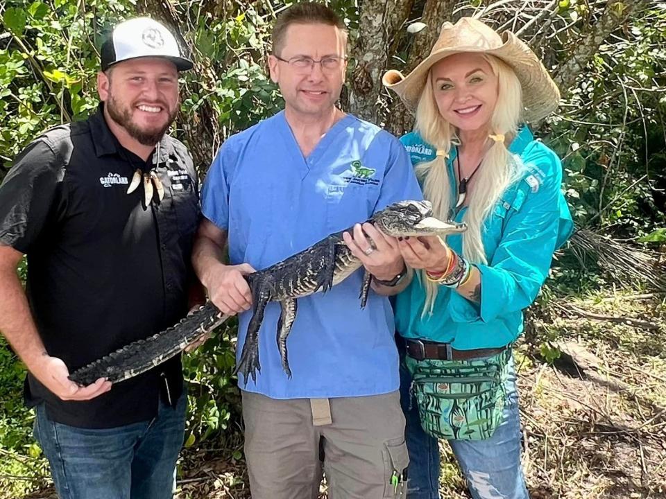 Gatorland staff holding up 4-foot-long jawless gator