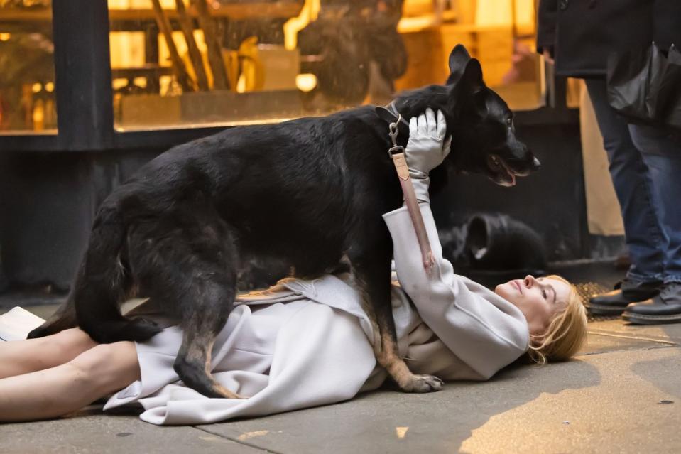 In a fourth photo, the AMC Theater icon can be seen lying on the cold, hard and wet NYC ground as she pets a great, black dog. Janet Mayer / SplashNews.com