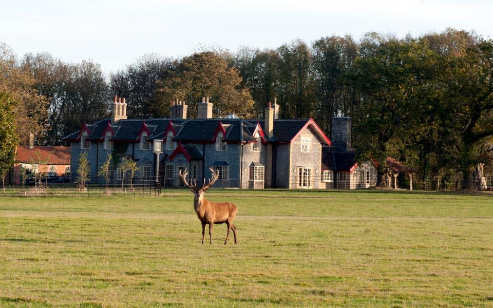 Gunton Arms, Norwich