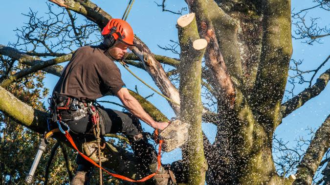 cwarham / Getty Images/iStockphoto