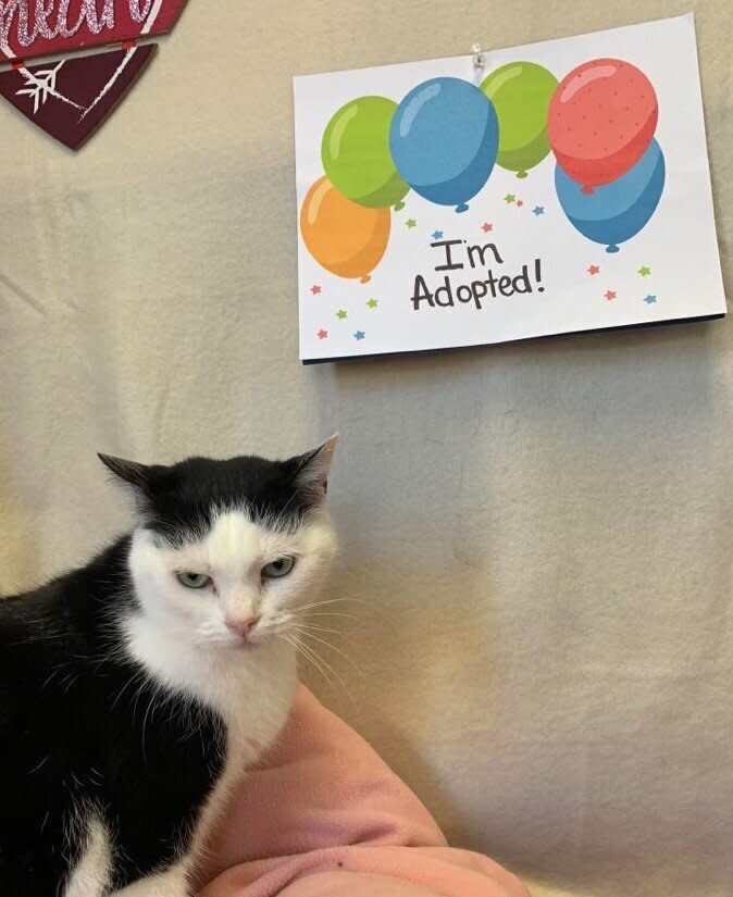 Perdita, looking thrilled about the sign celebrating her adoption. (Photo: Mitchell County Animal Rescue)