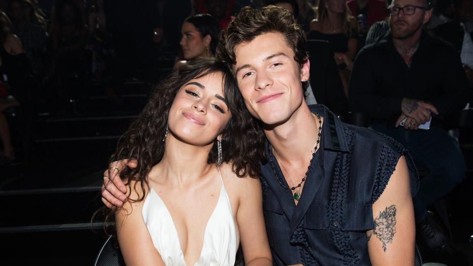 Shawn Mendes and Camila Cabello