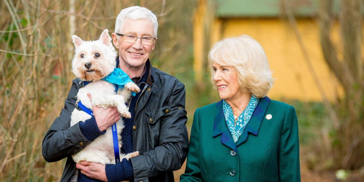 her majesty the queen consort paul ogrady for the love of dogs royal special