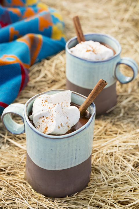 <p>This boozy, chocolatey drink will keep you toasty on a cold winter night.</p><p><em><a href="http://www.countryliving.com/food-drinks/recipes/a45476/spiced-mexican-hot-chocolate-recipe/" rel="nofollow noopener" target="_blank" data-ylk="slk:Get the recipe from Country Living »;elm:context_link;itc:0;sec:content-canvas" class="link ">Get the recipe from Country Living »</a></em></p>