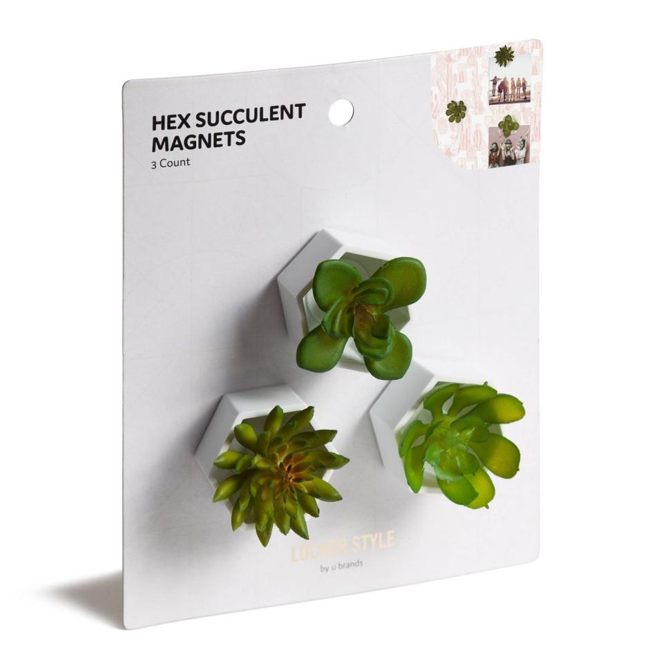 Pot Succulent Magnets