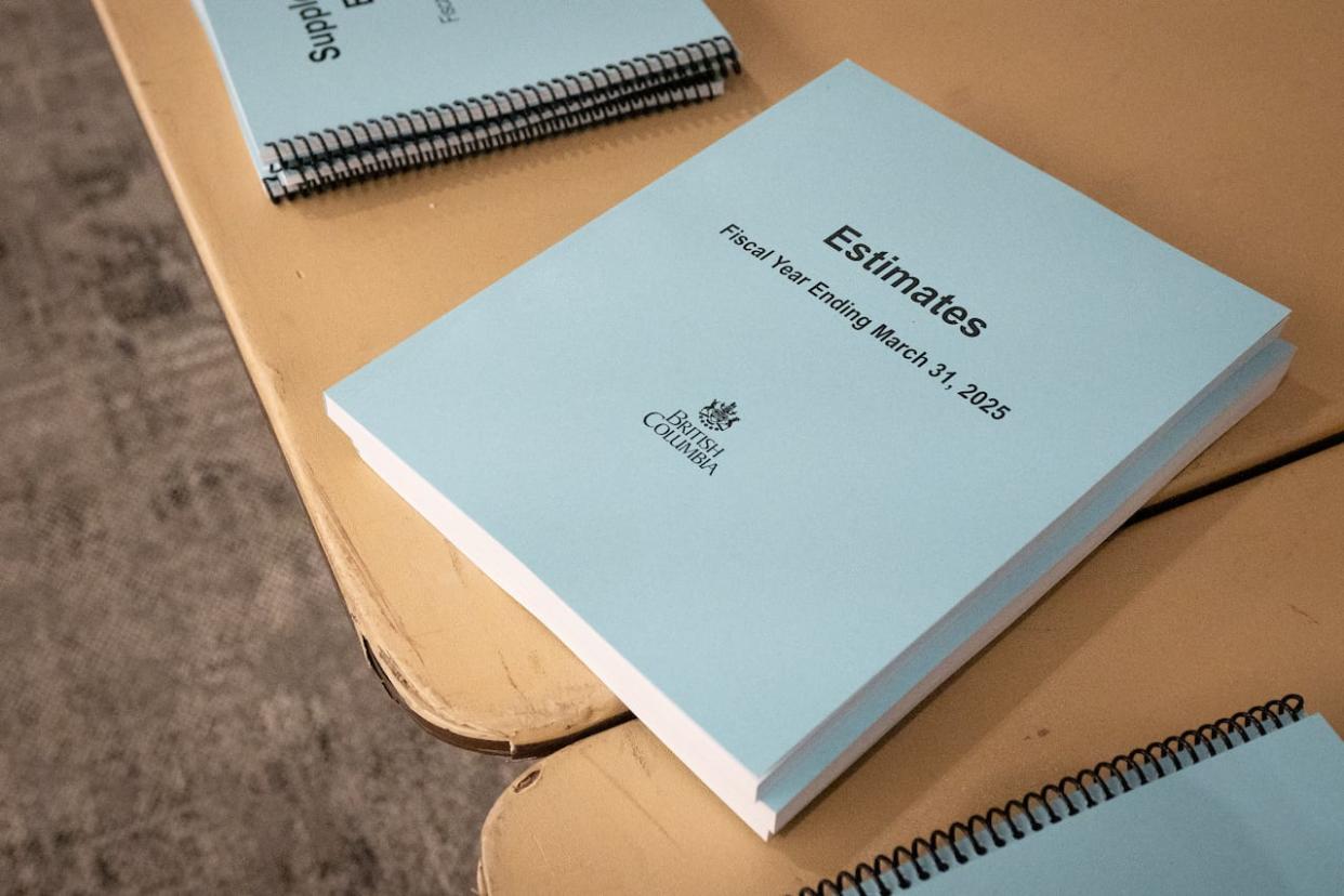 Budget documents from the B.C. government's 2024/2025 budget, which include a new tax on people who sell their homes two years or less after purchasing them. (Maggie MacPherson/CBC News - image credit)