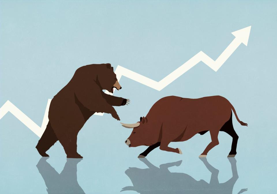 bull bear market