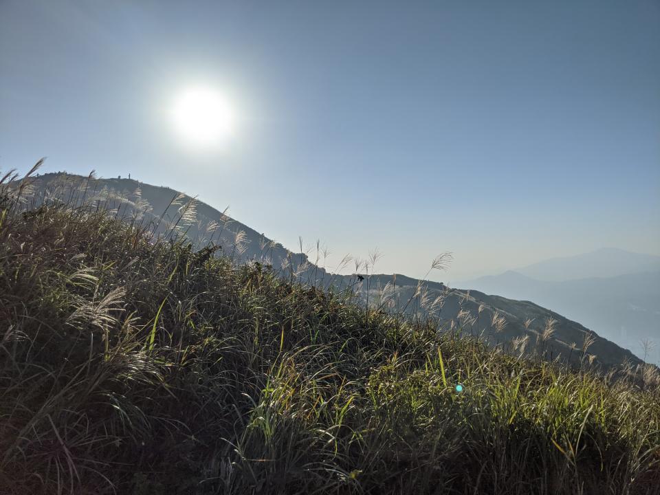 行山路線｜沙田水牛山環視西貢外海靚景！從西貢大水井起步經馬鞍山郊遊徑路線