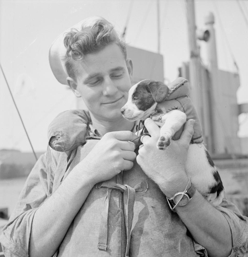 A US sailor holds a small puppy wearing a life jacket