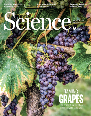 “Apprivoiser les raisins” en couverture du magazine “Science”.. Science