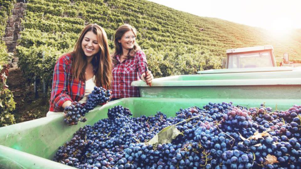 Woman-Owned Wineries