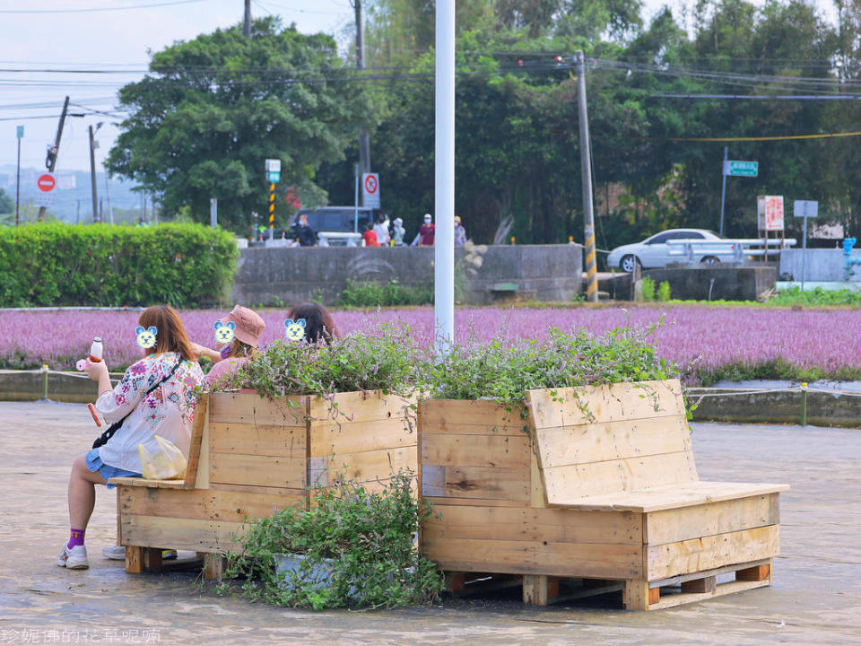 2022桃園仙草花節～仙茶之舞