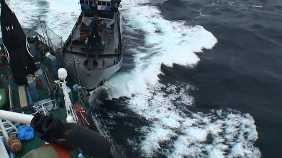 Institute of Cetacean Research handout photo shows Sea Shepherd vessel "The Bob Barker" in contact with the port side stern of Japanese whaling ship Yushin Maru in the Southern Ocean