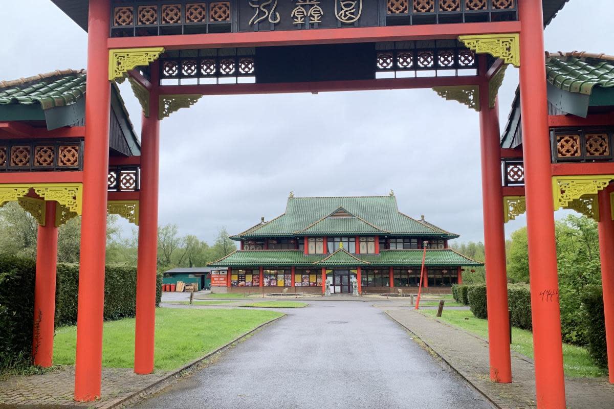 Hongxin Oriental Buffet in Swindon has received a zero star food hygiene rating, but hopes to see that improve in an upcoming reinspection <i>(Image: Dave Cox)</i>