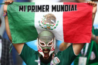 <p>Mexico fan before the match REUTERS/Michael Dalder </p>