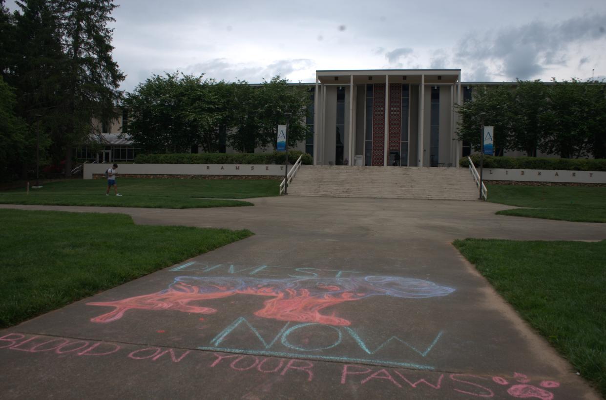 Outside of Ramsey Library May 3, UNC Asheville's mascot, Rocky the Bulldog, is drawn with blood on its legs between the words "divest now, blood on your paws."