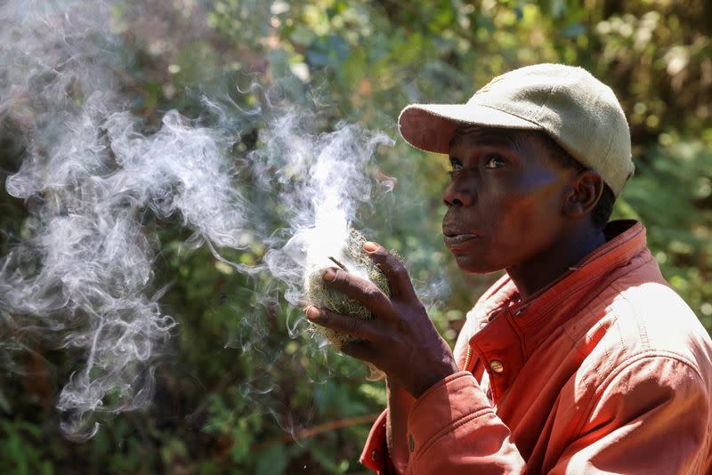 A member of the Ogiek forest inhabitants community blows on a tinder to produce smoke to extract honey from beehives, inside the Eburru forest reserve