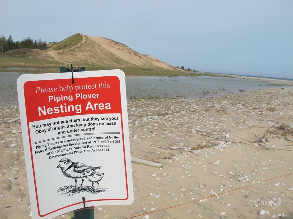 In this May 30, 2019 photo, a sign warns visitors of a piping plover nesting area in Glen Haven, Mich. Trouble is brewing for the piping plovers, already one of the Great Lakes region's most endangered species, as water levels surge during a rain-soaked spring that has flooded large areas of the Midwest. (AP Photo/John Flesher)