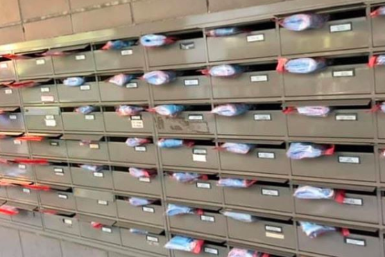Solidarietà dei cinesi: mascherine nelle caselle della posta a Vigevano e Milano