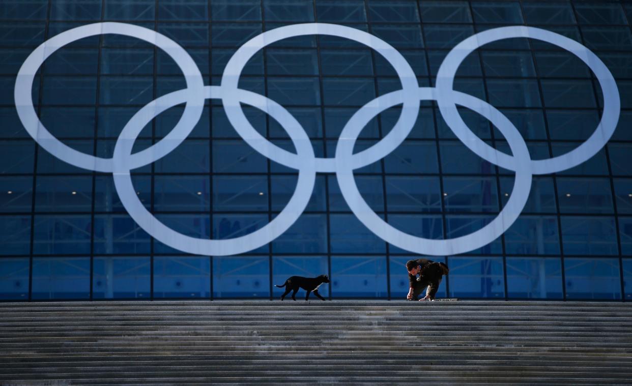 A stray dog approaches a Russian worker in front of the Olympic rings before the Sochi 2014 Winter Olympics. (Getty)