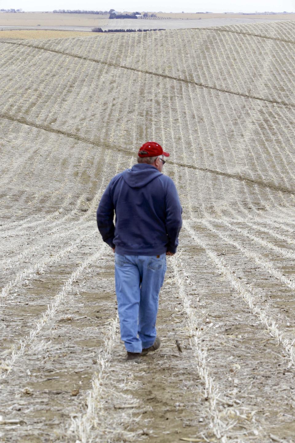 In this March 17, 2014 photo Tom Rutjens walks across a field he owns in Tilden, Neb. Despite organized opposition to the Keystone XL oil pipeline in Nebraska, Rutjens is one of many landowners along the Keystone XL pipeline route that have signed agreements to let developer TransCanada run the line through their property. Many have received six-figure payments for easements and temporary crop losses while the pipeline is installed. (AP Photo/Nati Harnik)