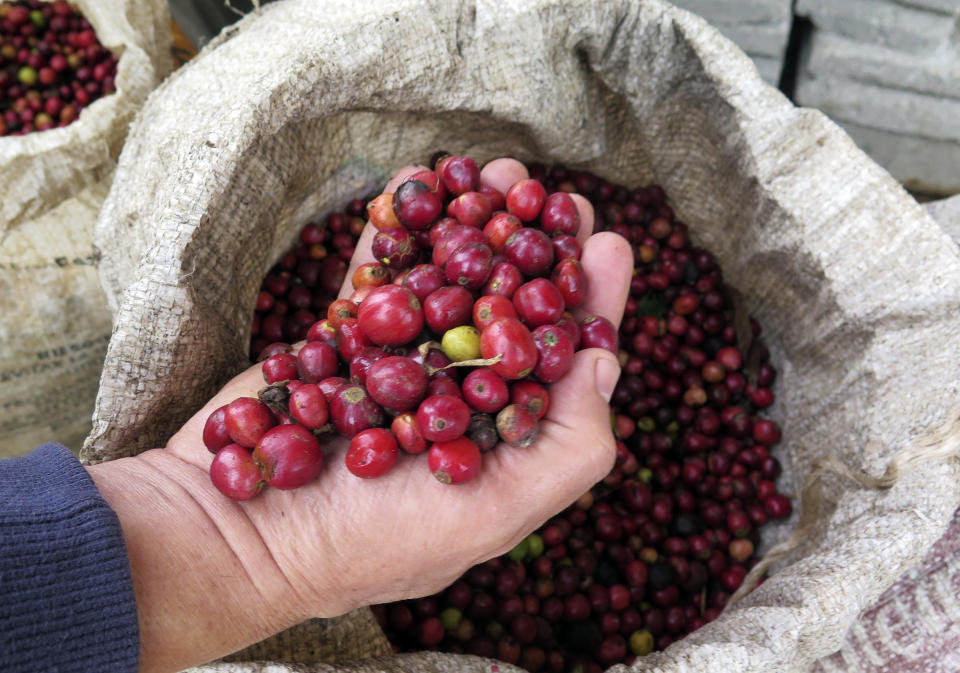 México es el décimo país del mundo como productor de café, cuyo consumo mundial se vio afectado tras la pandemia (Foto: David Alire/Reuters). 