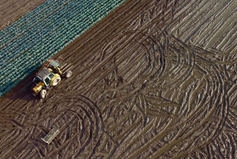 Aerial view of fields in Radinghem