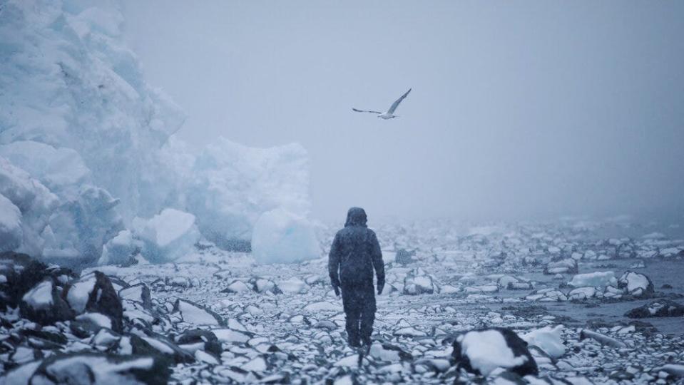 "After Antarctica," a film by Tasha Van Zandt, will be shown at the Woods Hole Film Festival, where she is artist in residence and will join a discussion panel related to documenting climate change.