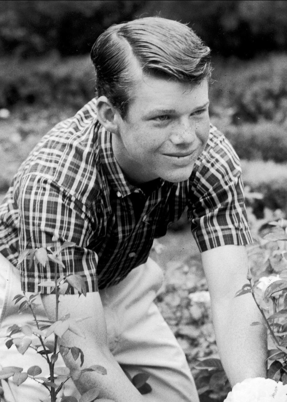 Tom Watson at 14, cutting a bouquet of roses in the family garden at 2 Dunford Circle. According to a 1964 Star caption, Watson said using clippers and shears in garden work strengthened his golf grip.