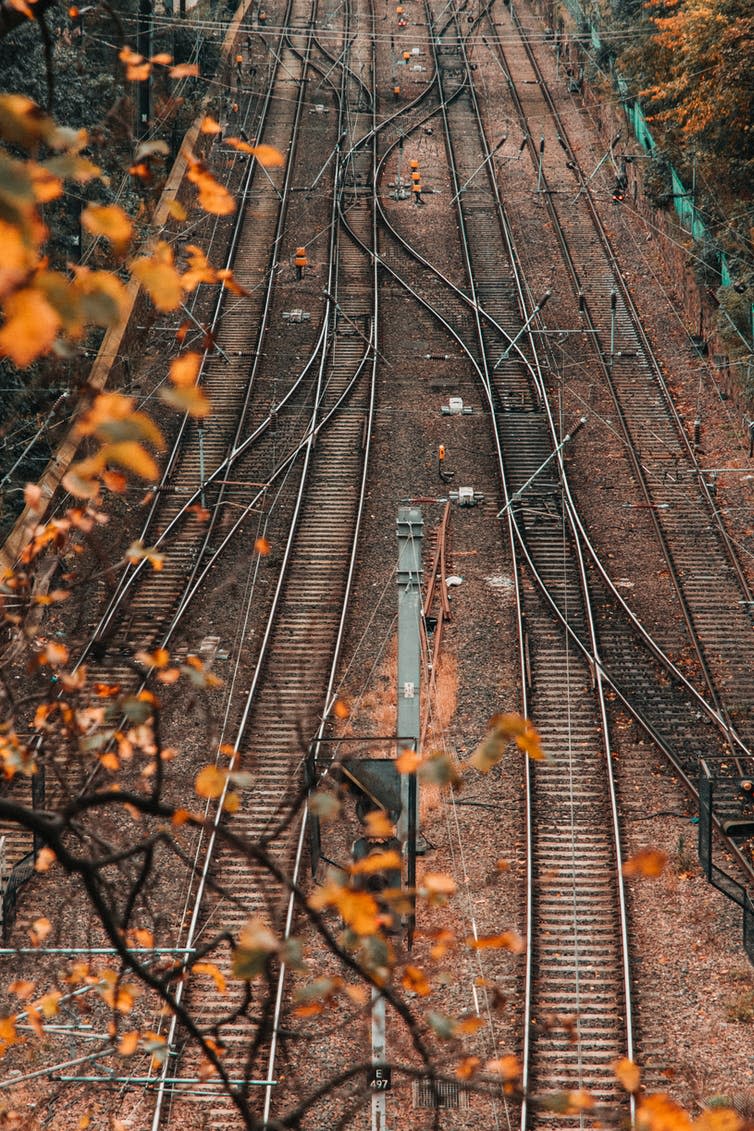 Train rails crisscross in an autumn landscape