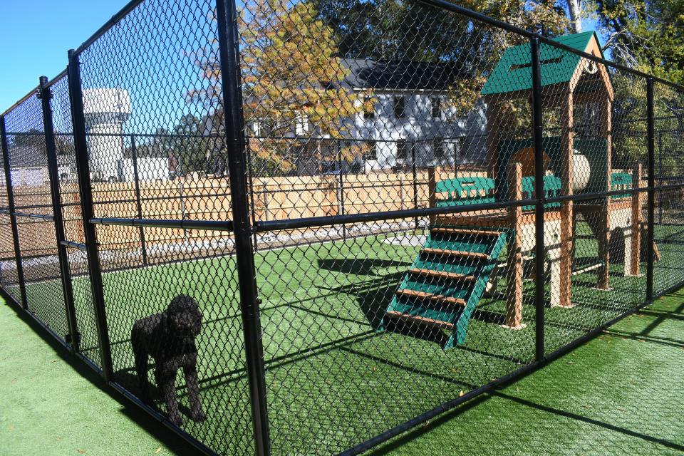 Dogs spend most of the day playing in an outdoor play area at the pet hotel recently opened at the Montgomery Animal Hospital. They're let out 3-4 times a day for 30-40 minutes each time. The area also has a spray pad and a playground set.