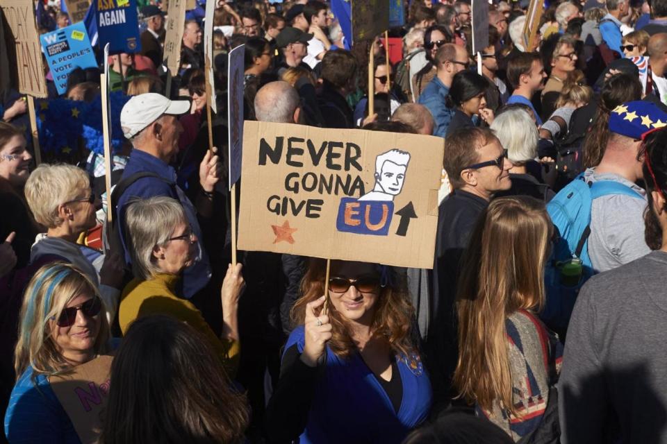 One protester holds up a Rick Astley-inspired placard. (AFP/Getty Images)