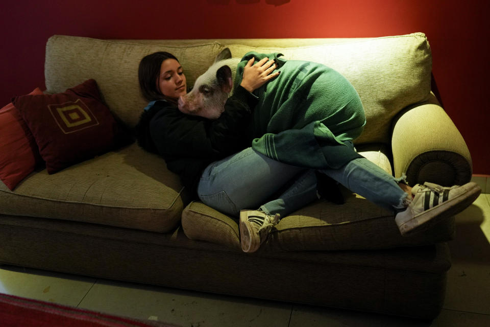 Luciana Benetti, 16, embraces her pet pig Chanchi at home in Buenos Aires, Argentina, Saturday, Sept. 4, 2021. Benetti found her plans for a big traditional 15th birthday party scrapped due to the COVID-19 pandemic last year. In its place, her parents gave her a pig, which turned out to be a loyal and loving companion. (AP Photo/Natacha Pisarenko)