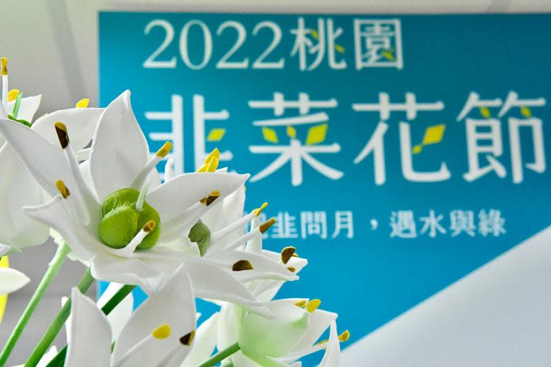 九月中秋賞雪趣　 2022桃園韭菜花節浪漫登場