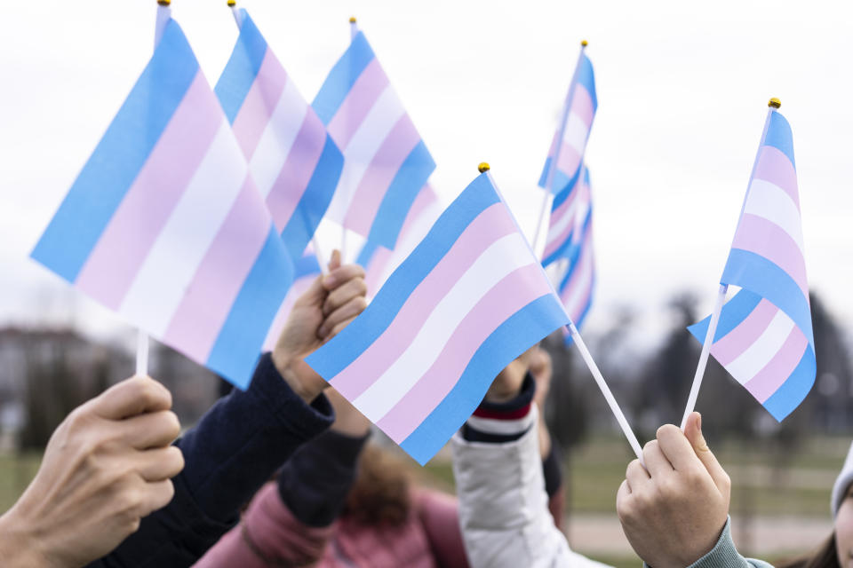 Many people holding transgender flags high in the sky