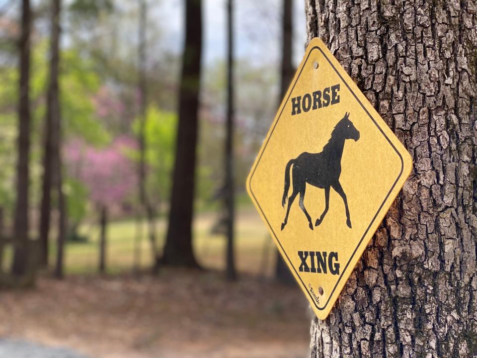 A horse crossing sign adorns a tree at Pony Track Farm in Polk County.