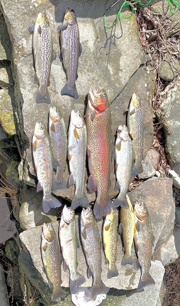 Local fishermen met with solid success this past weekend for Opening Day of Pennsylvania's 2023 trout season.