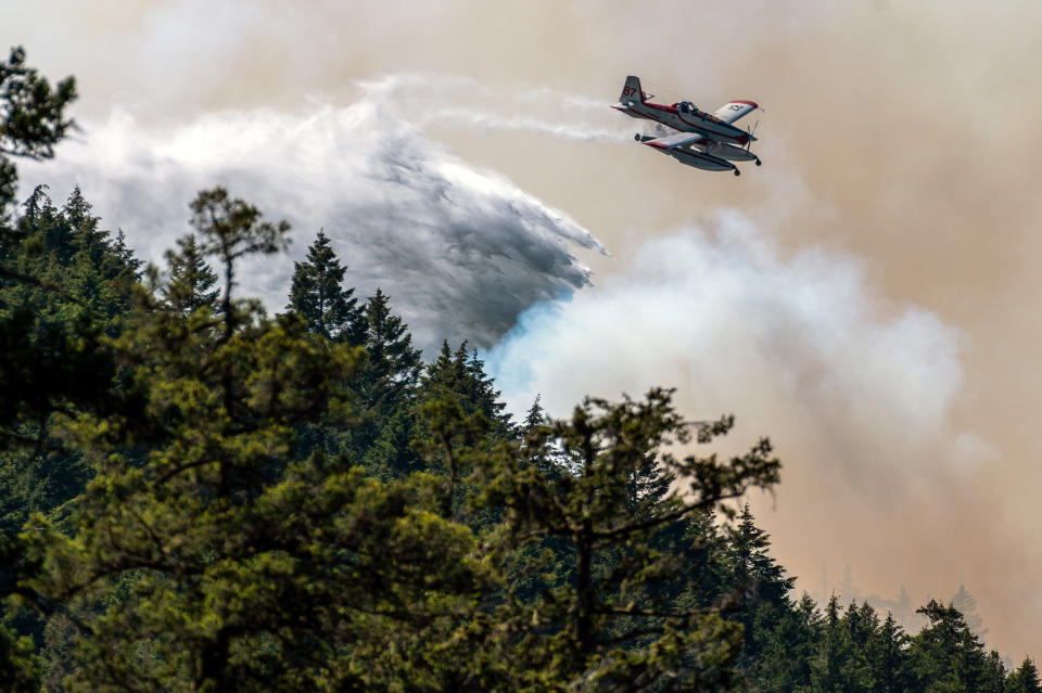 A fixed wing waterbomber drops water onto the Cameron Bluffs wildfire near Port Alberni, British Columbia, Canada (James MacDonald / Bloomberg via Getty Images file)