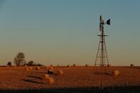 FILE PHOTO: The rising sun illuminates a field near Akron, Iowa