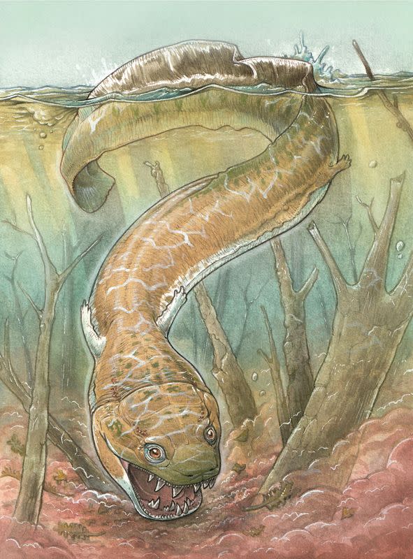 An artist's rendering of the Permian Period salamander-like creature Gaiasia jennyae