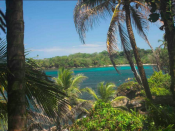 <p>Wild Cane Key island, off the coast of Bastimento in Central America, is listed for $360,000. The island is a total of 3.4 acres with multiple building spots available on the land. It’s most easily accessed by helicopter. (Private Islands Inc.) </p>
