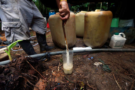 A worker adds chemicals to the already processed coca leaves to make coca paste, on a small farm in Guayabero, Guaviare province, Colombia, May 23, 2016. REUTERS/John Vizcaino