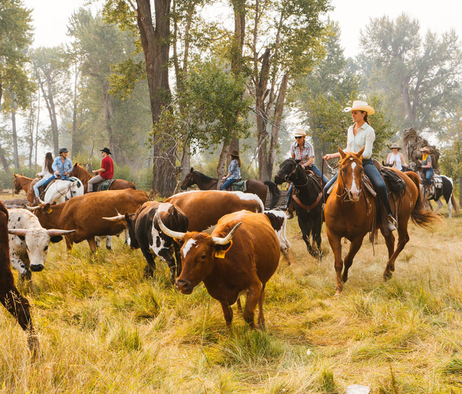 Exploring the vast resort and working cattle ranch on horseback is a top activity for greenhorns and experienced riders alike at Paws Up. <p>Stuart Thurlkill</p>