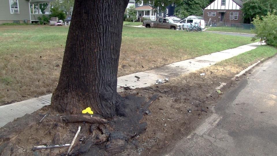 A charred tree remains after a fiery crash took the life of Long Branch woman