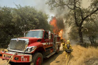 <p>Firefighters battle a wildfire near Oroville, Calif., on Saturday, July 8, 2017. The California Department of Forestry and Fire Protection reported that several residents and one firefighter suffered minor injuries. Residents were ordered to evacuate from several roads in the rural area as flames climbed tall trees. (AP Photo/Noah Berger) </p>