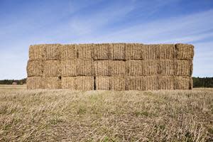 Hay bales wrapped with agricultural baler twine are stacked and stored for use as livestock feed.