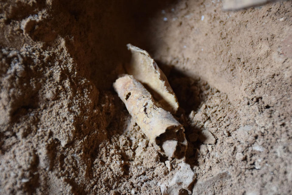 he only scroll found in the Qumran cave was blank, though archaeologists believe that in ancient times it was being prepared for writing. <cite>Oren Gutfeld & Ahiad Ovadia</cite>