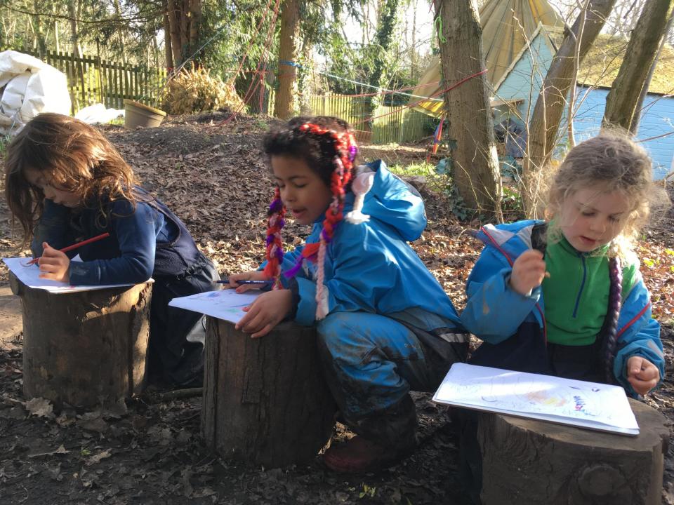 Pupils climb trees and write on tree-stumps - picture taken before the Covid-19 lockdown (Liberty Woodland School)