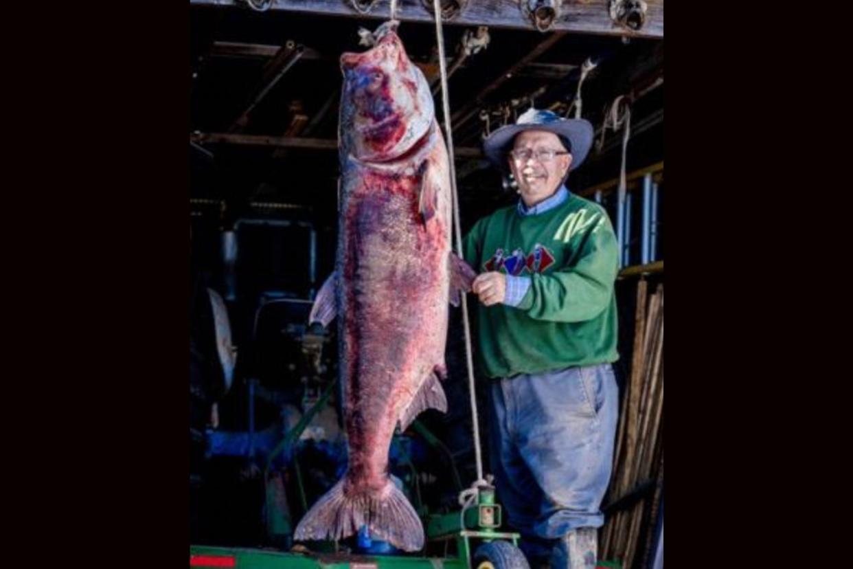 Chance's bighead carp is the third state-record fish caught in Missouri since the start of 2024.