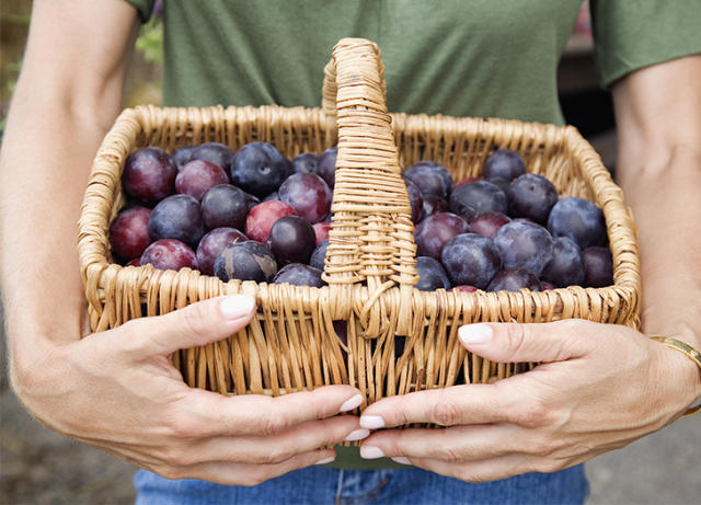 All About Plums - How to Pick, Prepare & Store